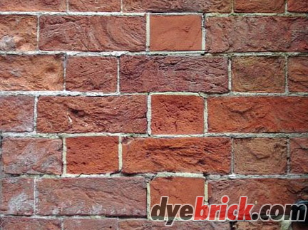 Tinted dark brick repairs1.jpg